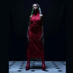 Blood Lace Dress 8 Blood Lace Dress -Maison Close Sales blood lace dress 3cb247db792c5f11734f1ad106e92e25