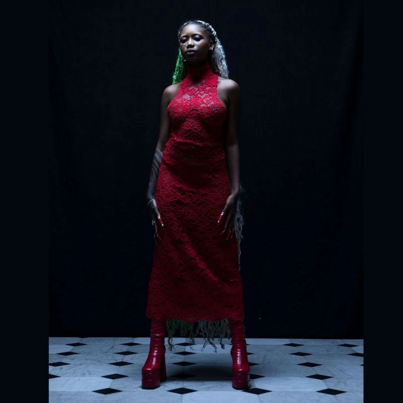 Blood Lace Dress 5 Blood Lace Dress - Image 3