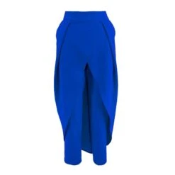 Electric Blue Pants With Skirt