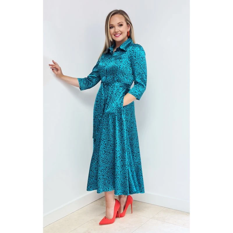 Marsden Dress Turquoise Leopard Print 4 Marsden Dress Turquoise Leopard Print - Image 2