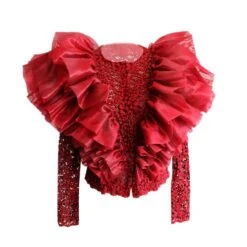 Bordeaux Ruffled Designer Blouse